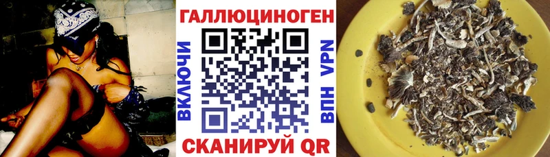 МЕГА сайт  Выборг  Псилоцибиновые грибы прущие грибы  площадка состав  закладка 