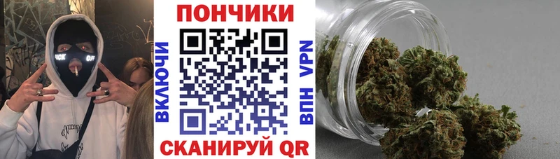 mega ссылки  Выборг  Бошки марихуана THC 21% 